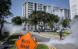 Lo ngại Zika, Bộ Giáo dục Malaysia hủy chuyến đi tới Singapore và Philippines