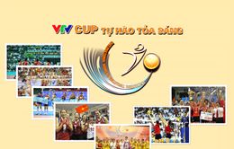 [INFOGRAPHIC] VTV CUP - Giải bóng chuyền hàng đầu Việt Nam bước sang tuổi 13