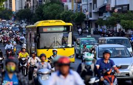 TP.HCM thí điểm vận hành 3 tuyến xe bus không trợ giá