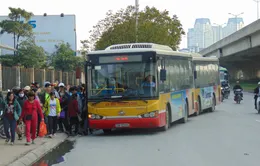 Đà Nẵng hỗ trợ người dân đi xe bus miễn phí