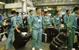 Tuyển hàng ngàn lao động đi Hàn Quốc trong ngành ngư nghiệp