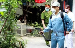 TP.HCM khoanh vùng dập dịch do virus Zika