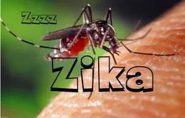 Kêu gọi hội nghị khu vực Mỹ La tinh nhằm đối phó virus Zika