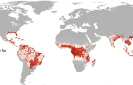 2.2 tỷ người sống trong vùng có nguy cơ lây nhiễm virus Zika