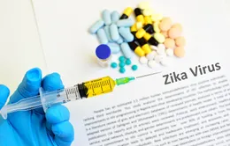 Nâng cao năng lực quản lý môi trường sống để phòng chống bệnh Zika