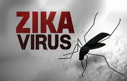 Giám sát phụ nữ mang thai phòng ngừa Zika