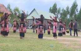 Câu lạc bộ thanh niên cồng chiêng Bana giữ gìn bản sắc văn hóa dân tộc