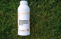 EU gia hạn sử dụng chất Glyphosate cho 5 năm tới