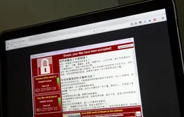 Hơn 240 đơn vị tại Việt Nam bị nhiễm mã độc WannaCry