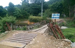 Tổng cục Đường bộ yêu cầu siết chặt kiểm tra phát hiện cầu, phà, hầm hư hỏng