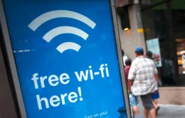 22.000 người vô tình đồng ý... cọ rửa nhà vệ sinh để dùng wifi miễn phí