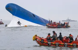 Bị phản đối dữ dội, dự án phim về thảm họa chìm phà Sewol tạm "đóng băng"