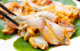 Cách nhận biết ếch đồng