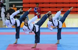 2017 – năm nhiều thành công của quyền Taekwondo Việt Nam