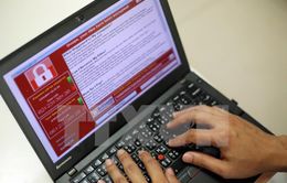 TP.HCM họp triển khai các biện pháp phòng chống mã độc WannaCry