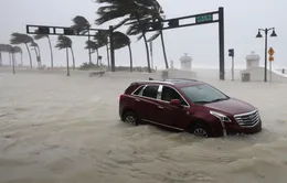 Siêu bão Irma "trút cuồng nộ" ở Florida, ít nhất 4 người thiệt mạng