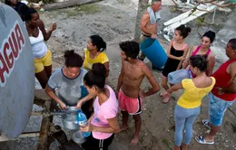 WFP hỗ trợ hàng triệu USD giúp Cuba tái thiết sau bão