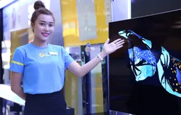 “Đóng đinh” với mác bán TV nhưng thị phần Điện máy Xanh còn tăng mạnh ở mảng bán máy lạnh, tủ lạnh, máy giặt