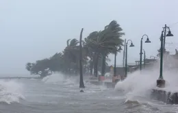 Bão Irma gây thiệt hại đáng kể tại các vùng lãnh thổ thuộc Pháp