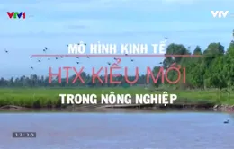 Mô hình Hợp tác xã kiểu mới khẳng định vị thế của kinh tế tập thể