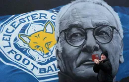 Không có chuyện Ranieri bị sa thải vì "bạo loạn" trong phòng thay đồ Leicester City