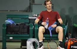 Sau Miami Open, Andy Murray tiếp tục lỡ hẹn với tứ kết Davis Cup 2017