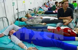 Hơn 500 công nhân ngộ độc ở An Giang: Do thức ăn nhiễm khuẩn