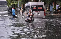 Ngày 11/6, HĐND TP.HCM họp bất thường về bảo vệ môi trường