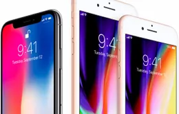 Apple hủy ra mắt iPhone màn hình OLED 5.3 inch: Samsung hết cửa "làm ăn"?