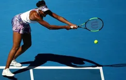 Australia mở rộng: Venus Williams lần đầu vào bán kết sau 14 năm