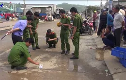 Quảng Ngãi: Làng chài lo lắng án mạng trong mùa biển động