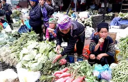 Thong dong dạo bước chợ phiên phố núi Sa Pa