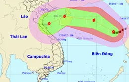 Bão số 11 sẽ còn mạnh lên, hướng vào Bắc Trung Bộ