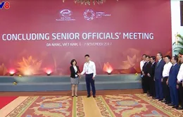 Chủ tịch nước chủ trì Tổng duyệt các hoạt động Tuần lễ Cấp cao APEC