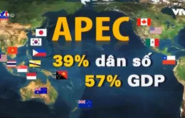 APEC Việt Nam 2017: Tạo động lực mới cho hợp tác APEC