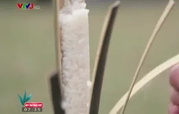 Khó quên hương vị bánh nứa tép Tuyên Quang
