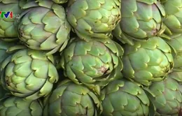 Lâm Đồng xây dựng và giữ vững thương hiệu Atiso
