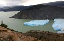 Tảng băng trôi lớn tách khỏi sông băng ở Chile