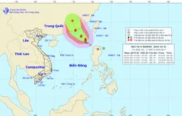 Bão số 8 có khả năng mạnh lên