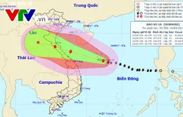 Tin bão khẩn cấp, cơn bão số 10