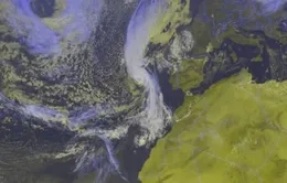 Bão Ophelia tràn vào Ireland