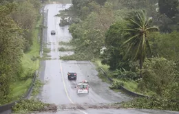 Bão Maria tàn phá khu vực Caribbean