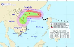 Bão số 11 có khả năng suy yếu thành áp thấp nhiệt đới