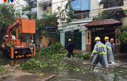 Bão số 12 càn quét Khánh Hòa, nhiều nhà dân bị đổ sập, hư hỏng nặng