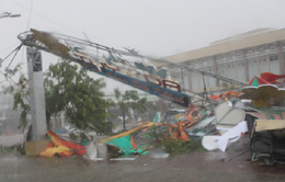 Phú Yên tập trung ổn định cuộc sống người dân sau cơn bão số 12
