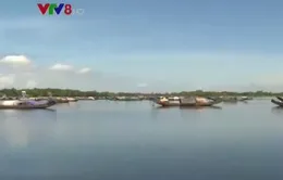 Thiếu kinh phí cho hoạt động bảo vệ nguồn lợi thủy sản ở Thừa Thiên Huế