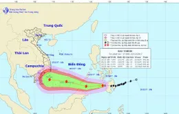 Chủ động ứng phó với bão Tembin