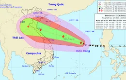 Thủ tướng yêu cầu ứng phó khẩn cấp bão số 10