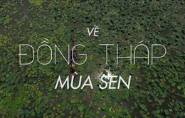 Bước Chân Khám Phá số 50 (20h55 thứ Sáu, 15/12 trên VTV8)