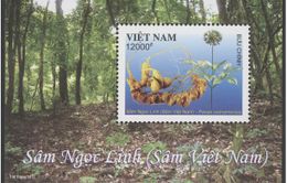 Phát hành bộ tem đặc biệt “Sâm Ngọc Linh (Sâm Việt Nam)” tại Quảng Nam